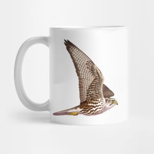 Saker Falcon Mug